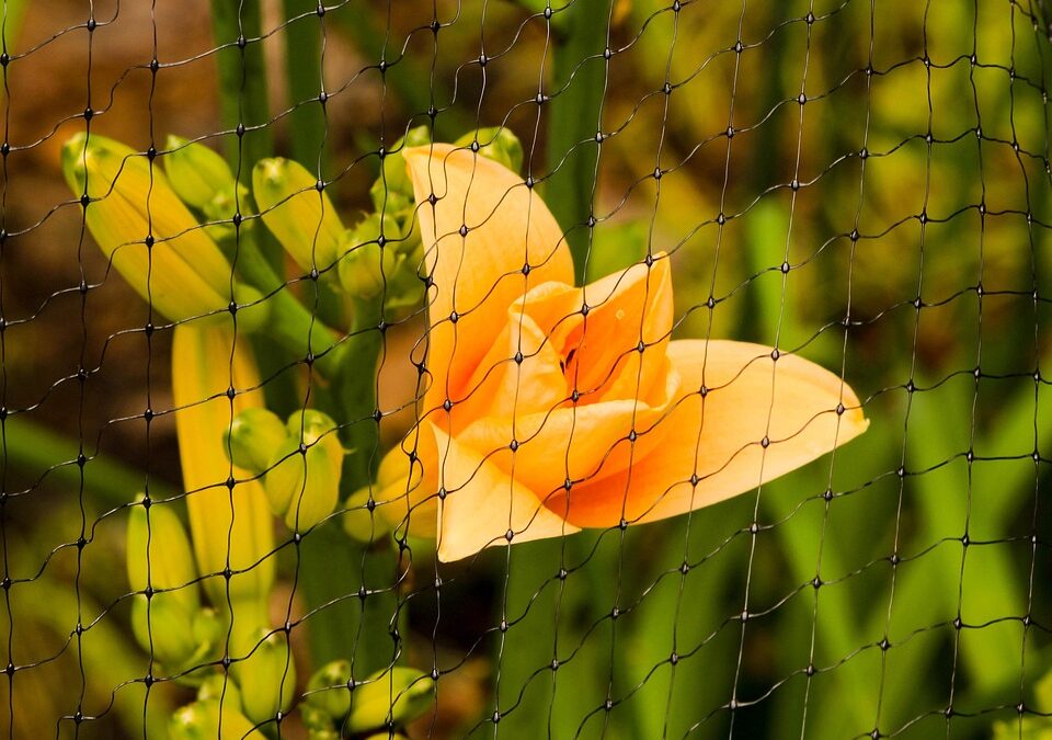 Optimize and Protect: The Unseen Benefits of SEO for Your Bradenton Pest Control Business