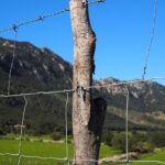 PPC for Fence Installation: A Game-Changer for Small Businesses in Bradenton