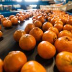 Pack It Up: How PPC Can Help Bradenton Packing Services Expand Their Reach