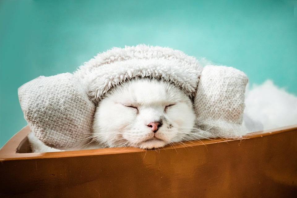 Pamper Your Profits: The Essential Role of SEO for Sarasota Day Spas Looking to Attract Local Clients