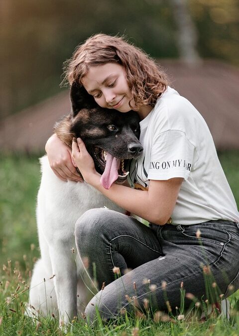 Paw-sitive SEO: Transforming Your Sarasota Pet Grooming Business into a Local Hotspot