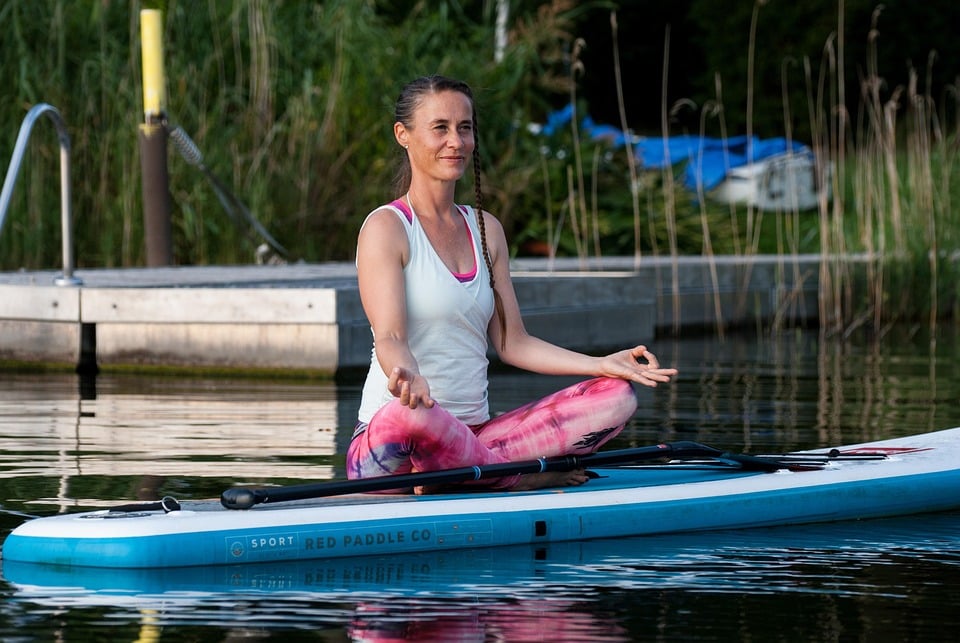 Pawsitively Profitable: How SEO Can Fetch More Clients for Your Sarasota Pet Boarding Business