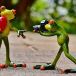 Picture Perfect PPC: Unlocking the Secret to Attracting More Clients for Bradenton Photographers
