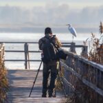 Picture Perfect Success: Unlocking the Benefits of SEO for Sarasota Photographers