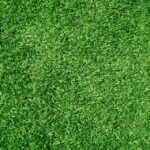 Planting Seeds of Success: How PPC Can Ensure Your Bradenton Landscaping Business Thrives