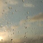 Polished Profits: Unlocking the Power of PPC for Your Sarasota Window Cleaning Service