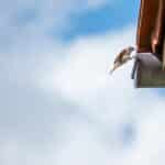 Rain or Shine: Unlocking Local Business Growth with PPC for Gutter Cleaning in Bradenton
