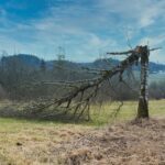 Repairing More than Just Homes: Why SEO is Essential for Growing Your Water Damage Restoration Business in Bradenton