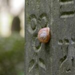 Rest in Peace: How PPC Ads Can Elevate Your Sarasota Funeral Home's Visibility