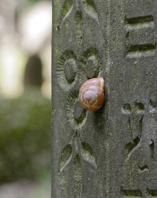 Rest in Peace: How PPC Ads Can Elevate Your Sarasota Funeral Home's Visibility