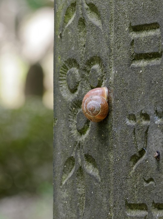 Rest in Peace: How PPC Ads Can Elevate Your Sarasota Funeral Home's Visibility