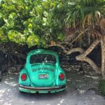 Rev Up Your Royalties: How SEO Can Transform Your Bradenton Auto Detailing Business