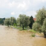 Rising Above the Flood: How SEO Can Propel Your Sarasota Water Damage Restoration Business