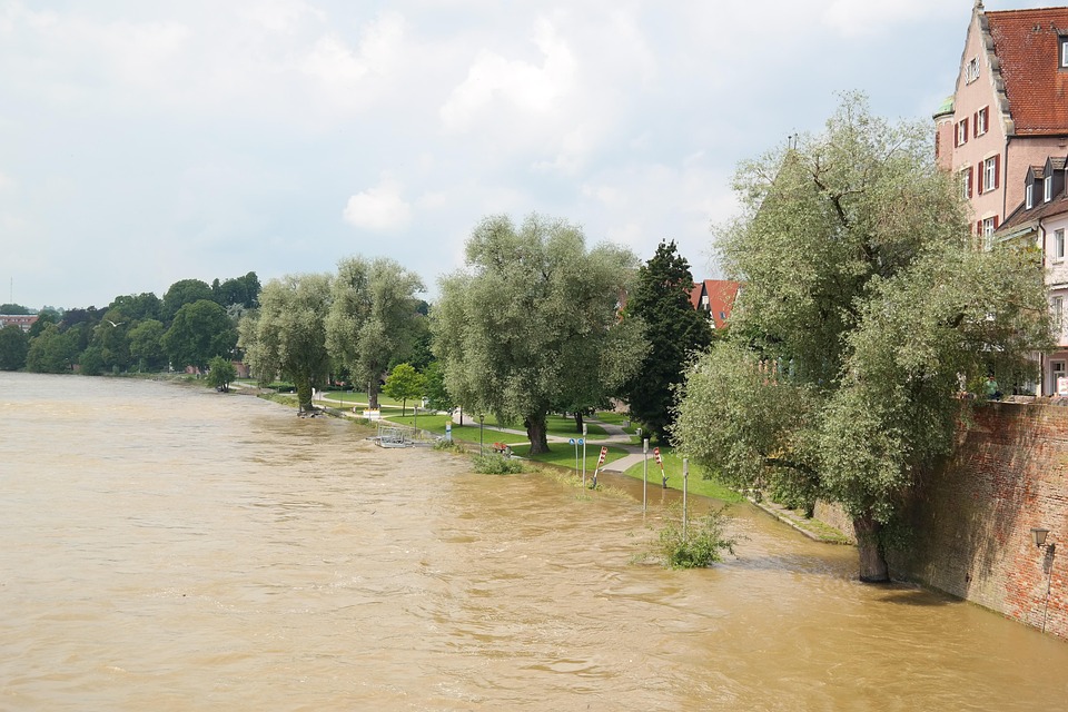 Rising Above the Flood: How SEO Can Propel Your Sarasota Water Damage Restoration Business