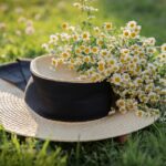 SEO for Lawn Care in Bradenton: Cultivating Online Visibility and Customer Growth