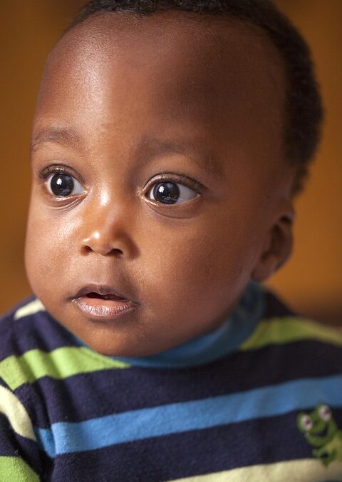 Sarasota's Secret Sauce: How PPC Advertising Can Skyrocket Your Child Care Center's Enrollment!