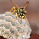 Small Business, Big Impact: Unlocking the Benefits of PPC for Sarasota Pest Control Owners