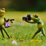 Snap Up Your Clients: How PPC Can Elevate Sarasota Photographers to New Heights