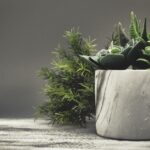 Spa-tacular Success: Boost Your Day Spa’s Visibility with Effective PPC Strategies in Bradenton