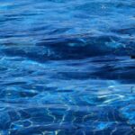 Splash into Profits: Unleashing the Power of PPC to Boost Your Sarasota Pool Cleaning Services