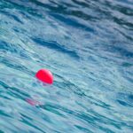 Splashing ROI: The Untapped Potential of PPC for Pool Cleaners in Bradenton
