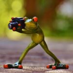 Spotlight on Success: Why Every Bradenton Photographer Needs Pay-Per-Click Marketing