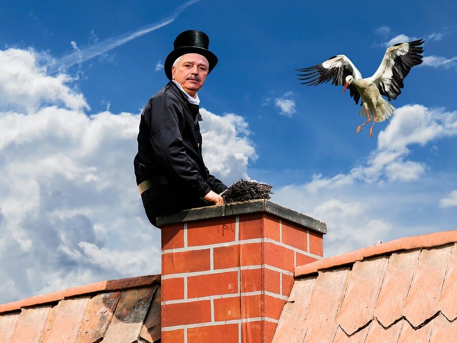 Stay Ahead of the Flames: How Effective SEO Can Ignite Your Chimney Sweep Business in Bradenton
