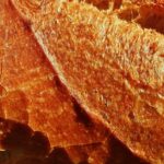 Sweet Success: Unlocking the Magic of PPC for Sarasota Bakeries