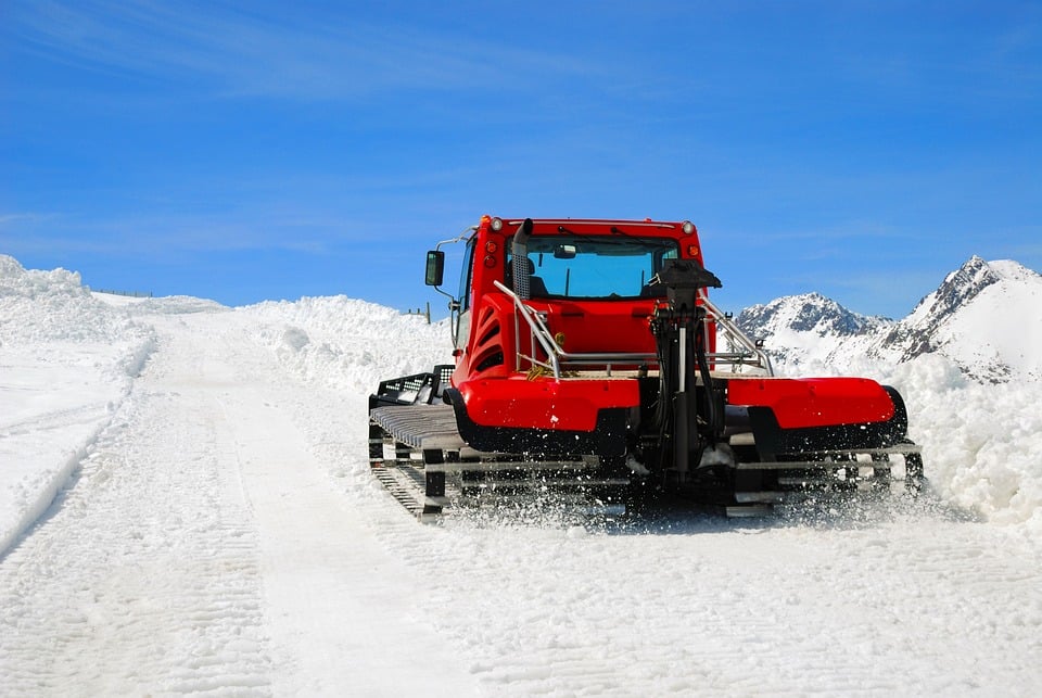 Tails of Success: Why Every Bradenton Pet Groomer Needs an SEO Strategy