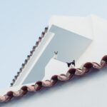 Train Your Online Presence: How SEO Can Lead to Happier Pets and Profitable Brains in Bradenton