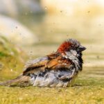 Transform Your Bathroom and Your Business: How Local SEO Can Drive Renovation Success in Bradenton!