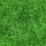 Transform Your Sarasota Carpet Cleaning Business: How SEO Can Drive Local Customers to Your Doorstep