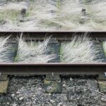 Transform Your Sarasota Siding Business: How PPC Campaigns Can Drive Local Customers to Your Door