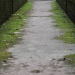 Transforming Mold Issues into Revenue: The Essential SEO Tactics for Sarasota's Small Businesses
