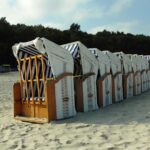 Trash to Treasure: How PPC Can Propel Your Sarasota Junk Removal Business to New Heights!