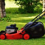 Trimming the Competition: Why Sarasota Lawn Care Businesses Need SEO Now More Than Ever