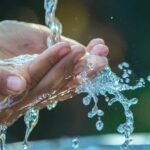 Turn Clicks into Clients: Maximizing Your Lawn Care Business Potential in Sarasota with PPC