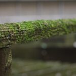 Turn Your Mold Remediation Services into a Local Sensation: The Benefits of Targeted PPC Advertising in Bradenton