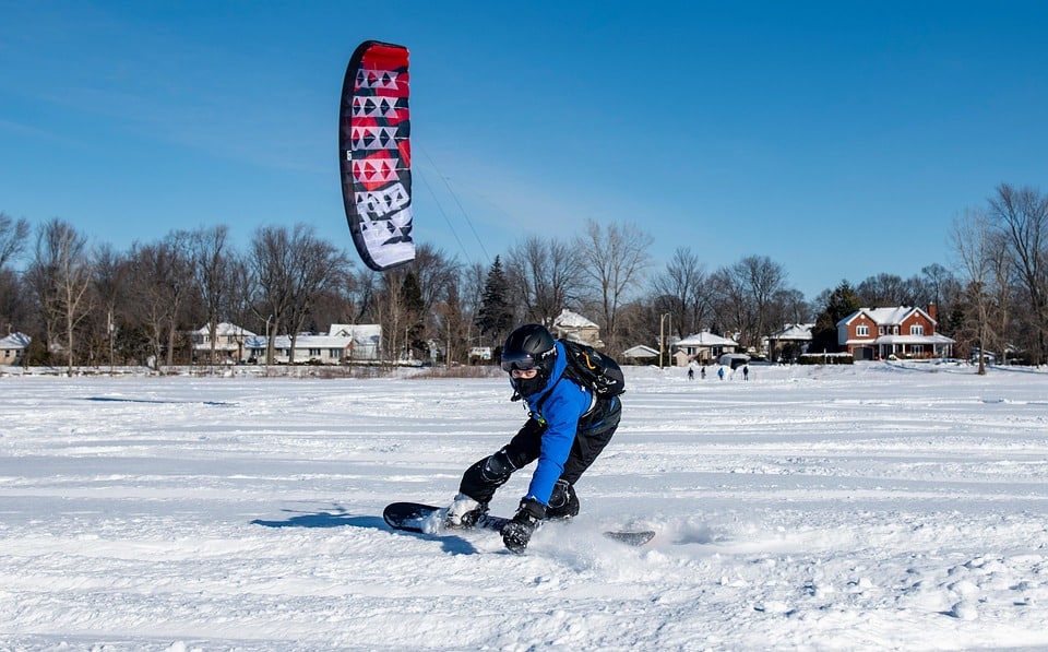 “Unleashing Success: 5 Reasons Why Bradenton Pet Boarders Should Embrace PPC Advertising Today”