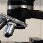 Unlocking Growth: 5 Reasons Bradenton Doctors Should Embrace PPC Advertising Today!