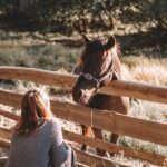 Unlocking Growth: How SEO Can Fortify Your Sarasota Fence Installation Business