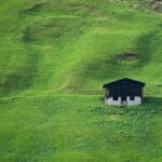 Unlocking Growth: How SEO Can Transform Your Bradenton Lawn Care Business