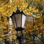 Unlocking Local Success: The Power of PPC for Small Window Replacement Businesses in Bradenton