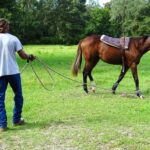 Unlocking Success: 5 SEO Strategies Every Personal Trainer in Sarasota Should Know