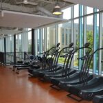 Unlocking Success: 5 SEO Strategies Sarasota Gyms Must Use to Attract Local Fitness Enthusiasts