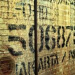 Unpacking Opportunities: The Power of PPC Advertising for Local Packing Businesses in Bradenton