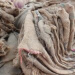 “Unpacking Success: How SEO Can Elevate Your Sarasota Packing Services Business”