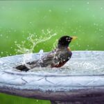 Washing Away the Competition: Using SEO to Elevate Your Bradenton Pressure Washing Business