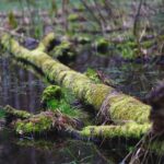 Wave Goodbye to Marketing Woes: The PPC Playbook for Bradenton Water Damage Restoration Companies