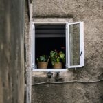 Windows of Opportunity: Why Bradenton's Window Cleaners Should Embrace PPC Marketing Now!